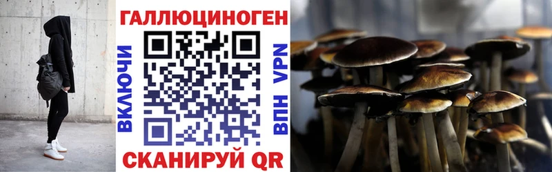 Псилоцибиновые грибы мицелий  как найти   Самара 