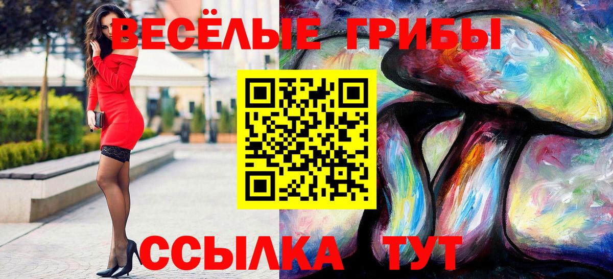Самара  Галлюциногенные грибы MAGIC MUSHROOMS  Вход с VPN 