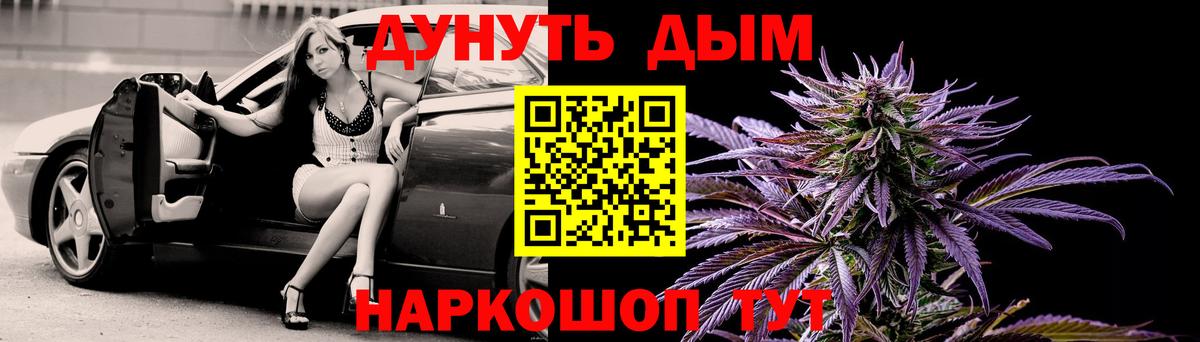 Конопля сатива Самара